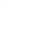 2024_tokyo_sports_comany